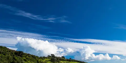 An image depicting the trail Waiheke Island Short Loop and its surrounding area.