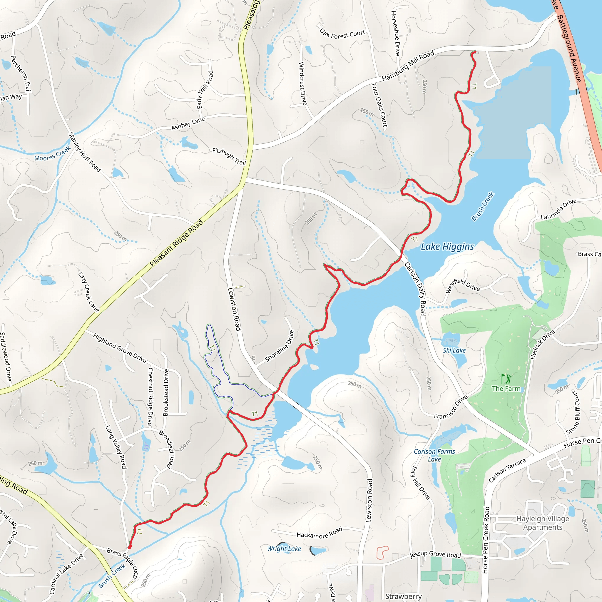 Bald Edge Trail mobile static map