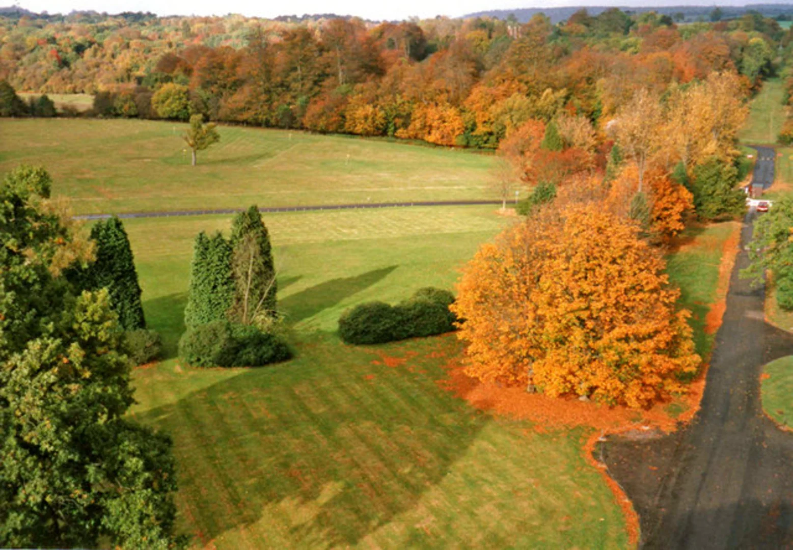 An image depicting the trail Thunderdell Wood, Berkhamsted Common, Aldbury Common Loop and its surrounding area.