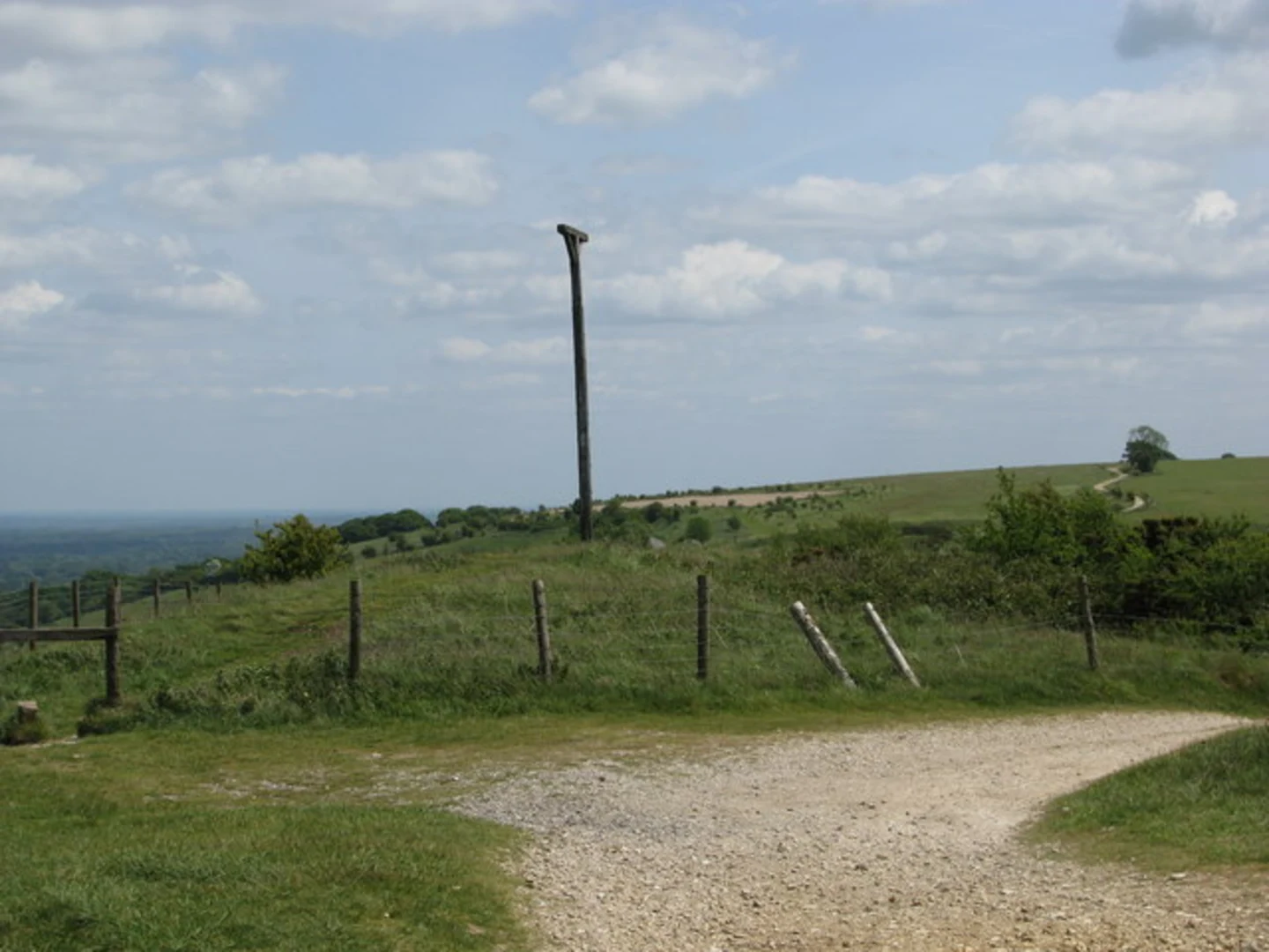 An image depicting the trail Buttermere Wood and Walbury Hill Loop and its surrounding area.