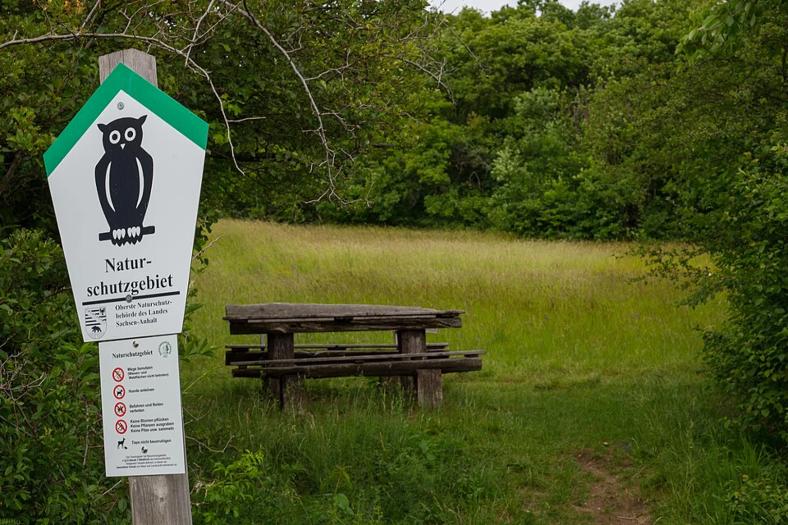 An image depicting the trail Nahe via Nahesteig and its surrounding area.