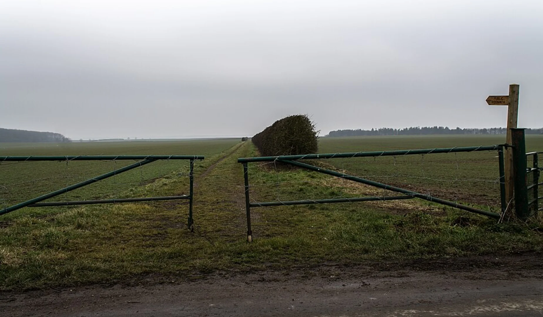 An image depicting the trail Grimsby to Irby upon Humber and Waltham Loop and its surrounding area.