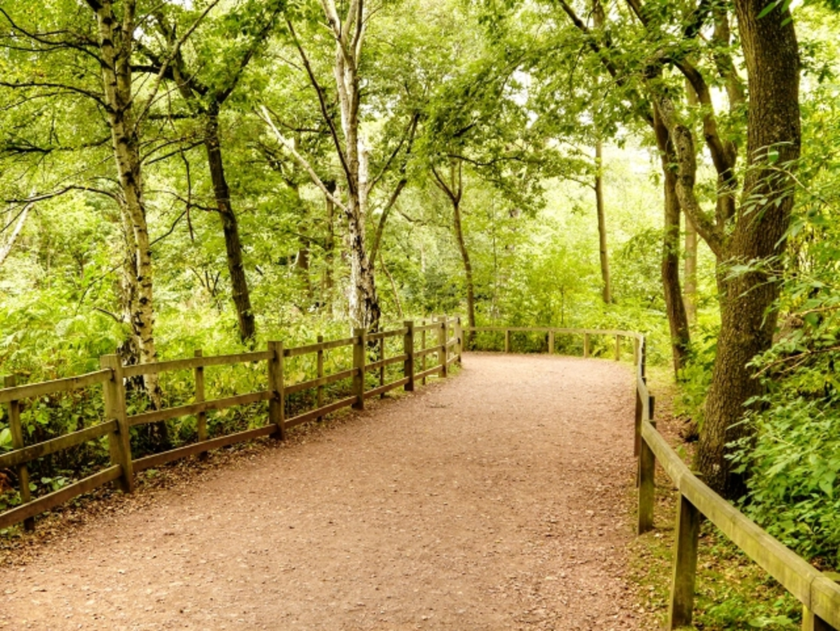 Sherwood National Forest Loop