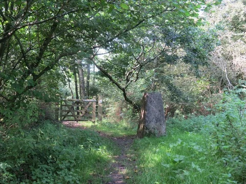An image depicting the trail Duncliffe Wood Loop and its surrounding area.