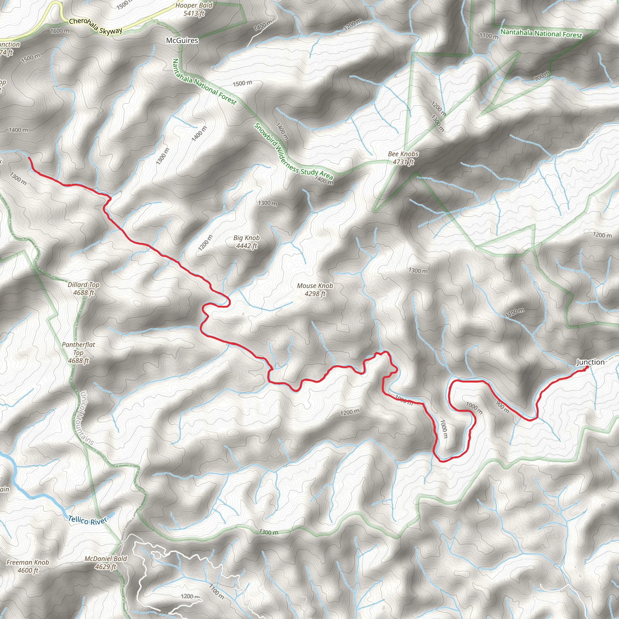 Big Snowbird Trail mobile static map