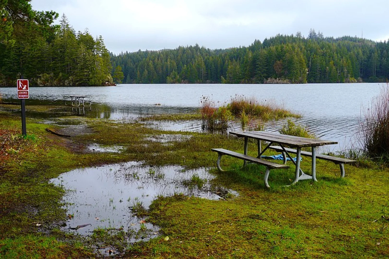 An image depicting the trail Schuttpelz Lake Trail and its surrounding area.