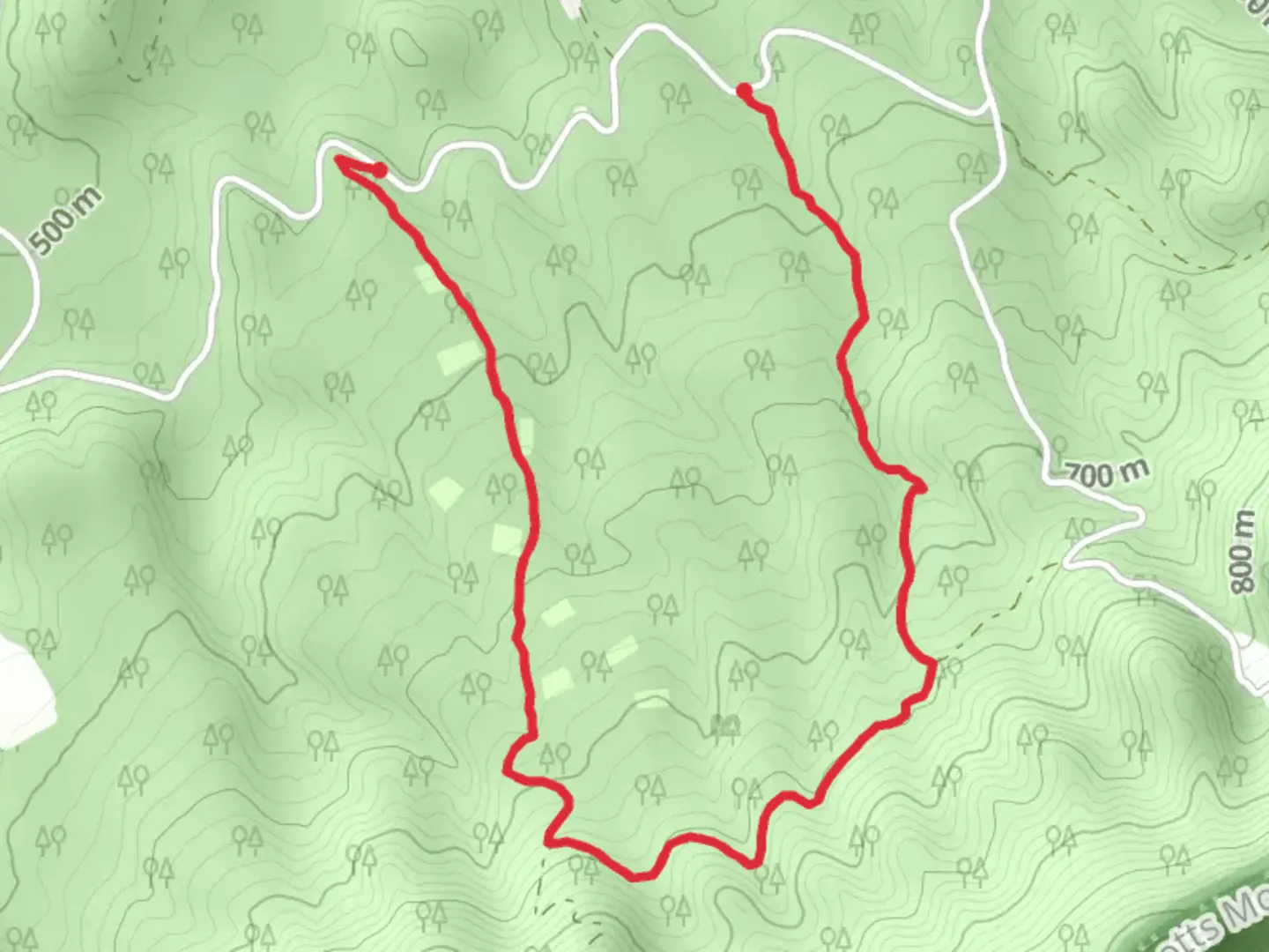 An image depicting the trail Children's Forest Trail and its surrounding area.