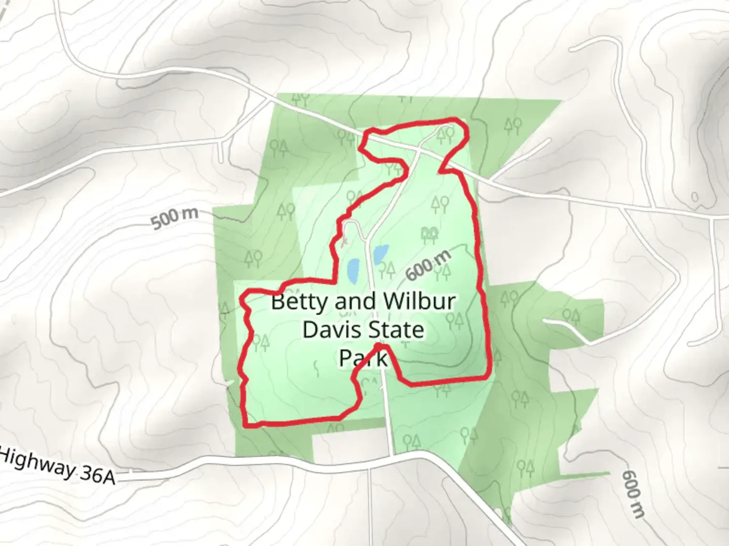 An image depicting the trail Andy's Loop Trail and its surrounding area.