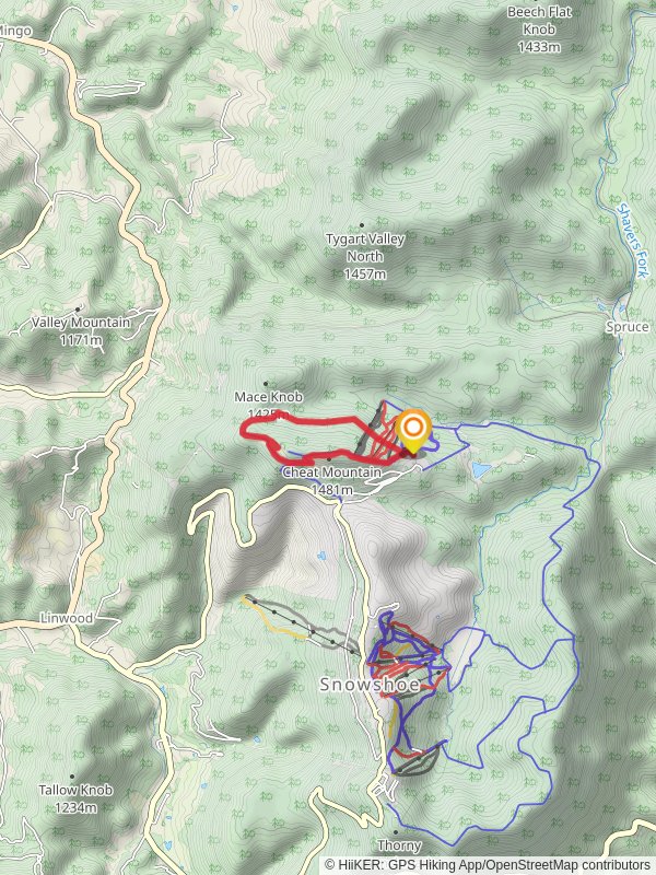 Cheat Mountain and Upper Beaver Dam Loop
