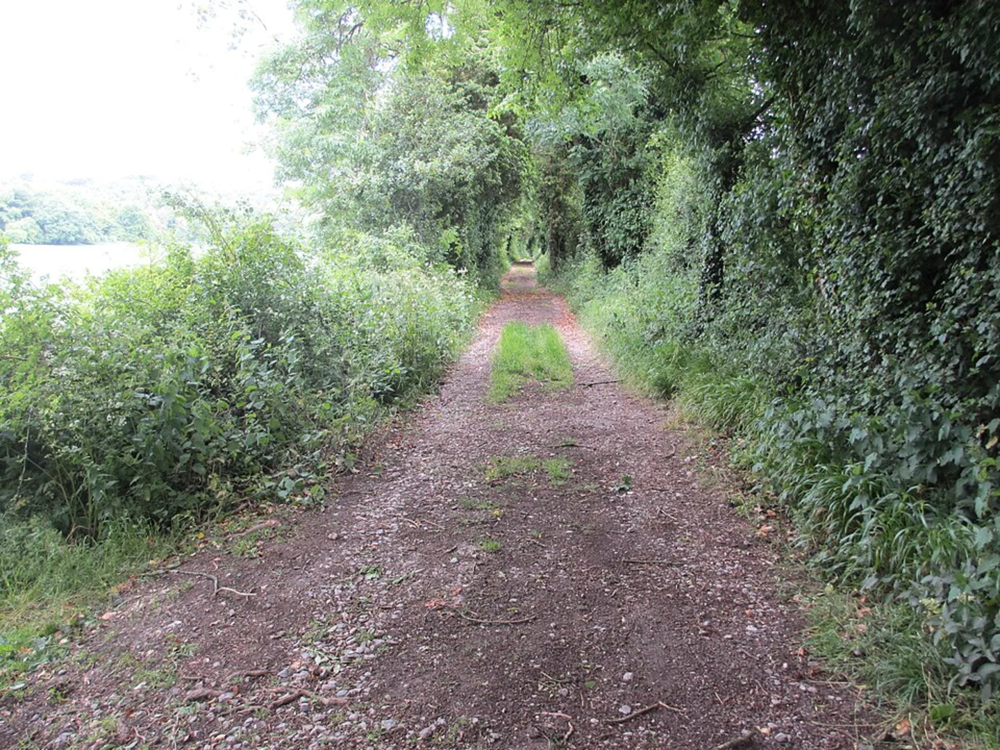 An image depicting the trail Nore Hill Loop - Eartham and its surrounding area.
