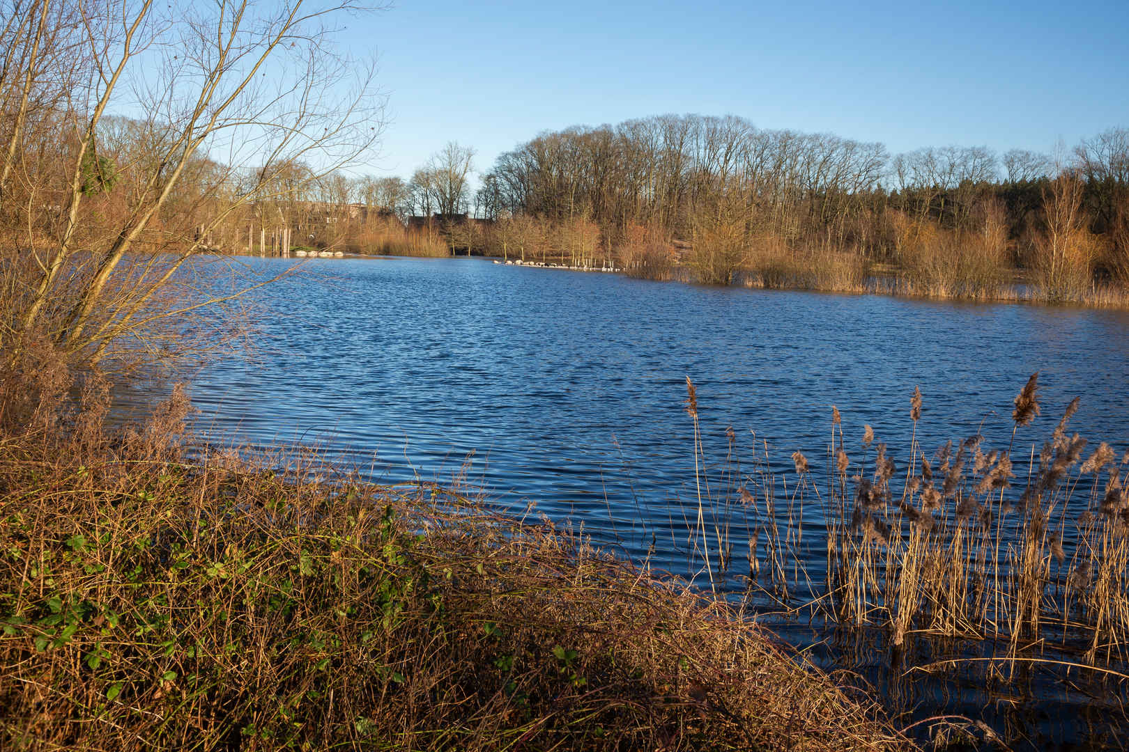 An image depicting the trail Mediapark to Naarden - Bussum via Heimanspad, Melkmeent and Wijde of Bovenste Blik and its surrounding area.