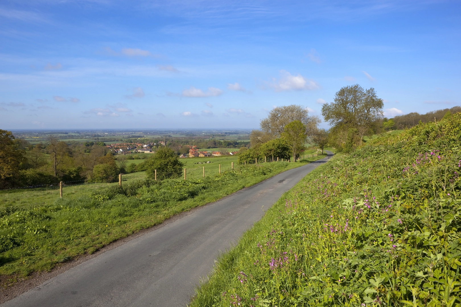 An image depicting the trail 20 Miles Loop in North Yorkshire and its surrounding area.