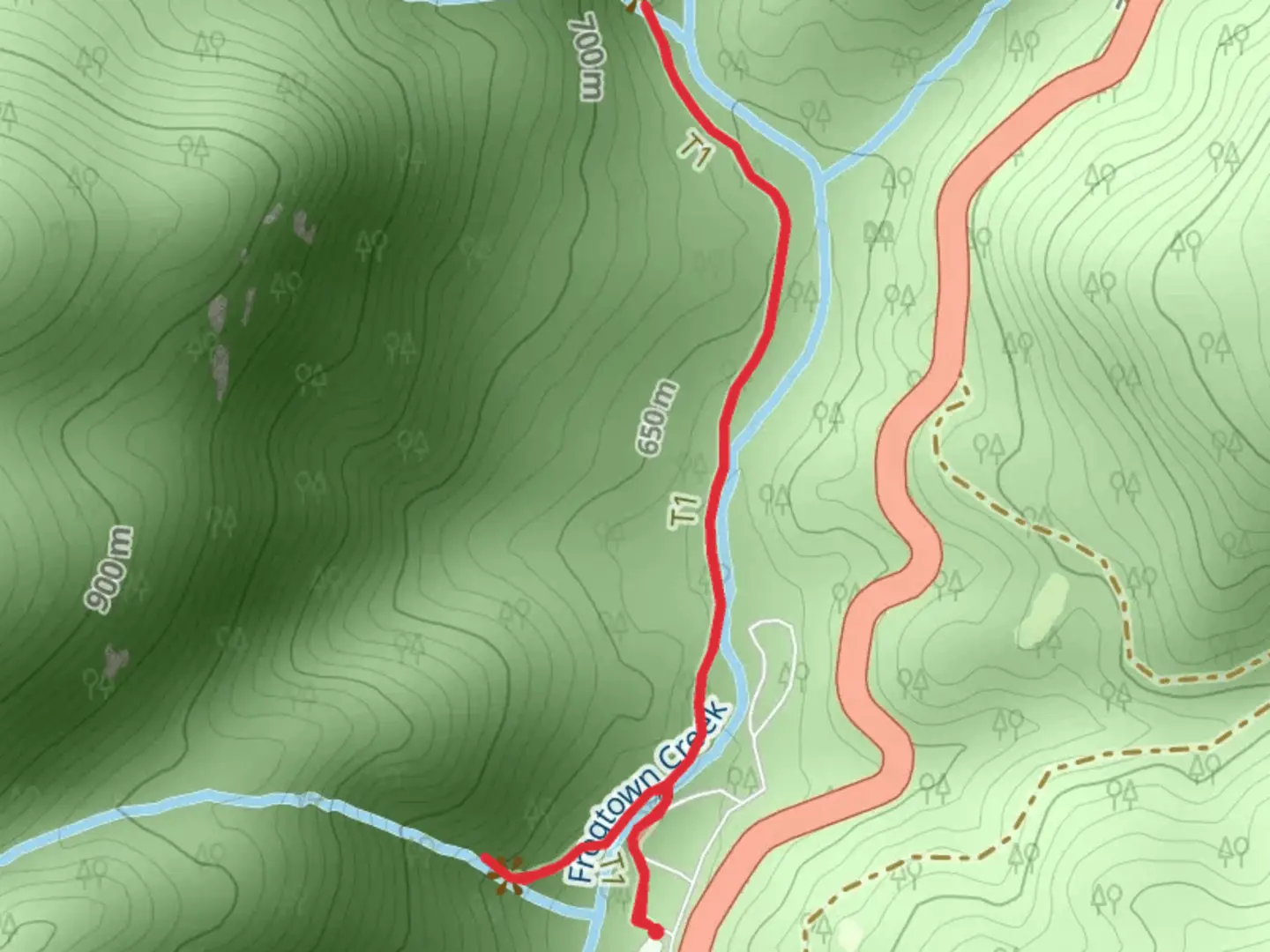 An image depicting the trail DeSoto Falls Trail and its surrounding area.