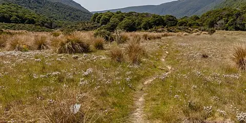 An image depicting the trail Cobb Valley - Trilobite Hut to Chaffey Hut and its surrounding area.