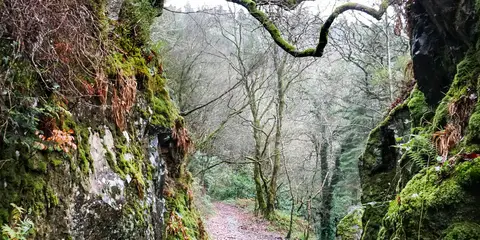 An image depicting the trail The Devils Glen - Waterfall Walk and its surrounding area.