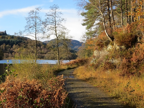 An image depicting the trail Loch Ard Viewpoint Loop Trail and its surrounding area.