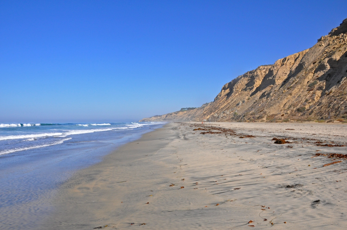 Torrey Pines Park Road, Broken Hill Trail and Torrey Pines Beach Loop