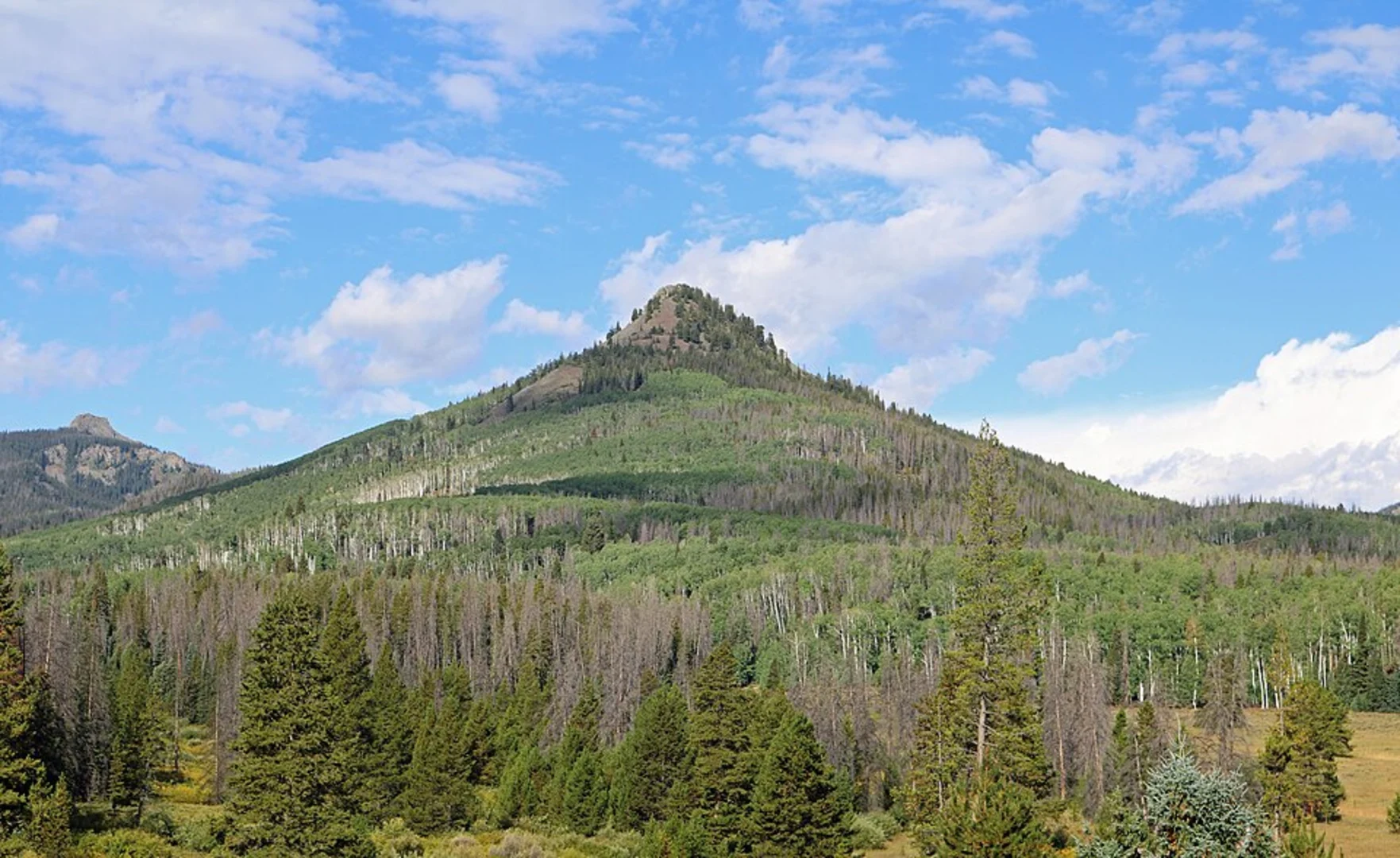 An image depicting the trail Nipple Peak Trail and its surrounding area.