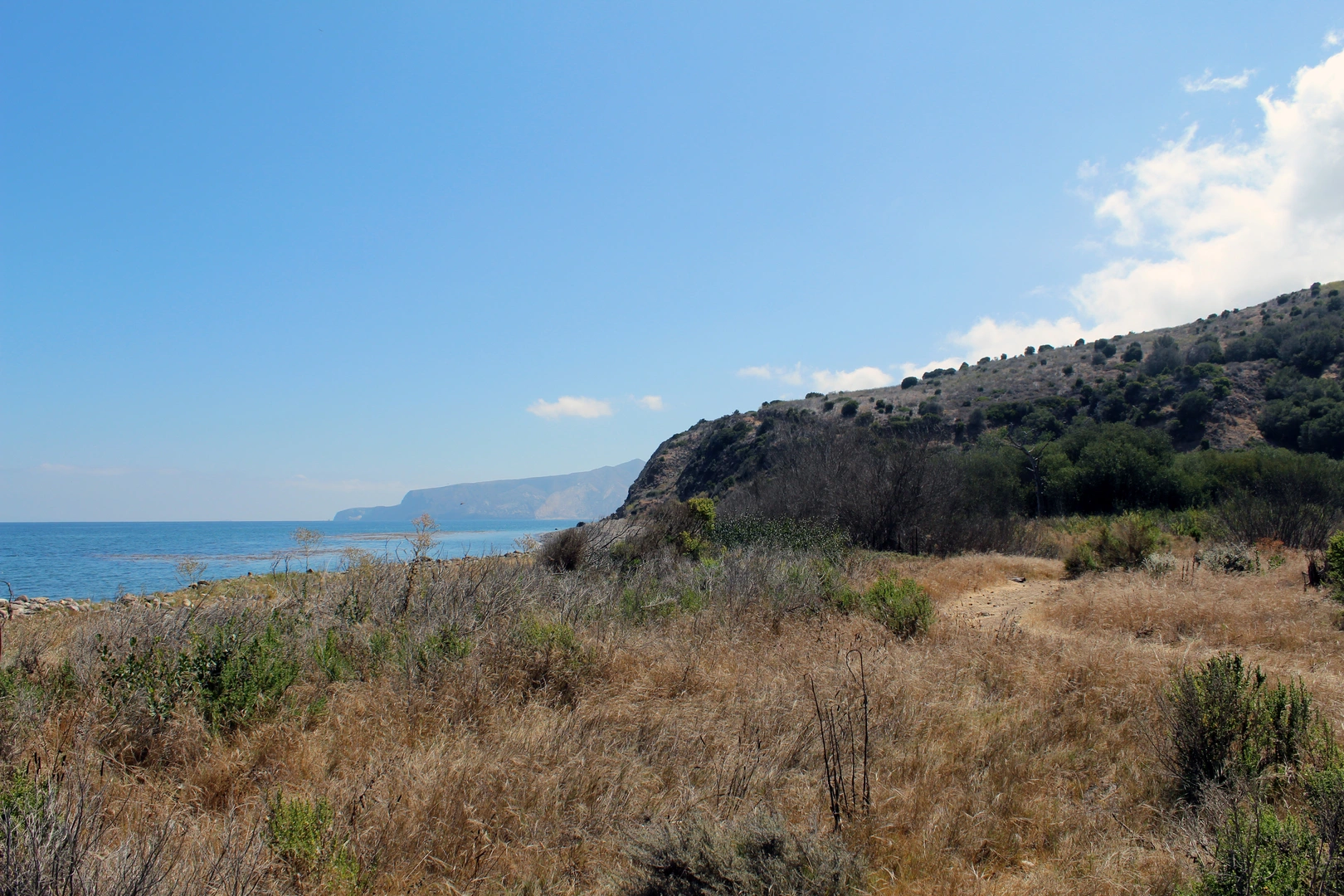 An image depicting the trail Chinquapin, Eucalyptus Loop and Old Cove Landing Trail and its surrounding area.