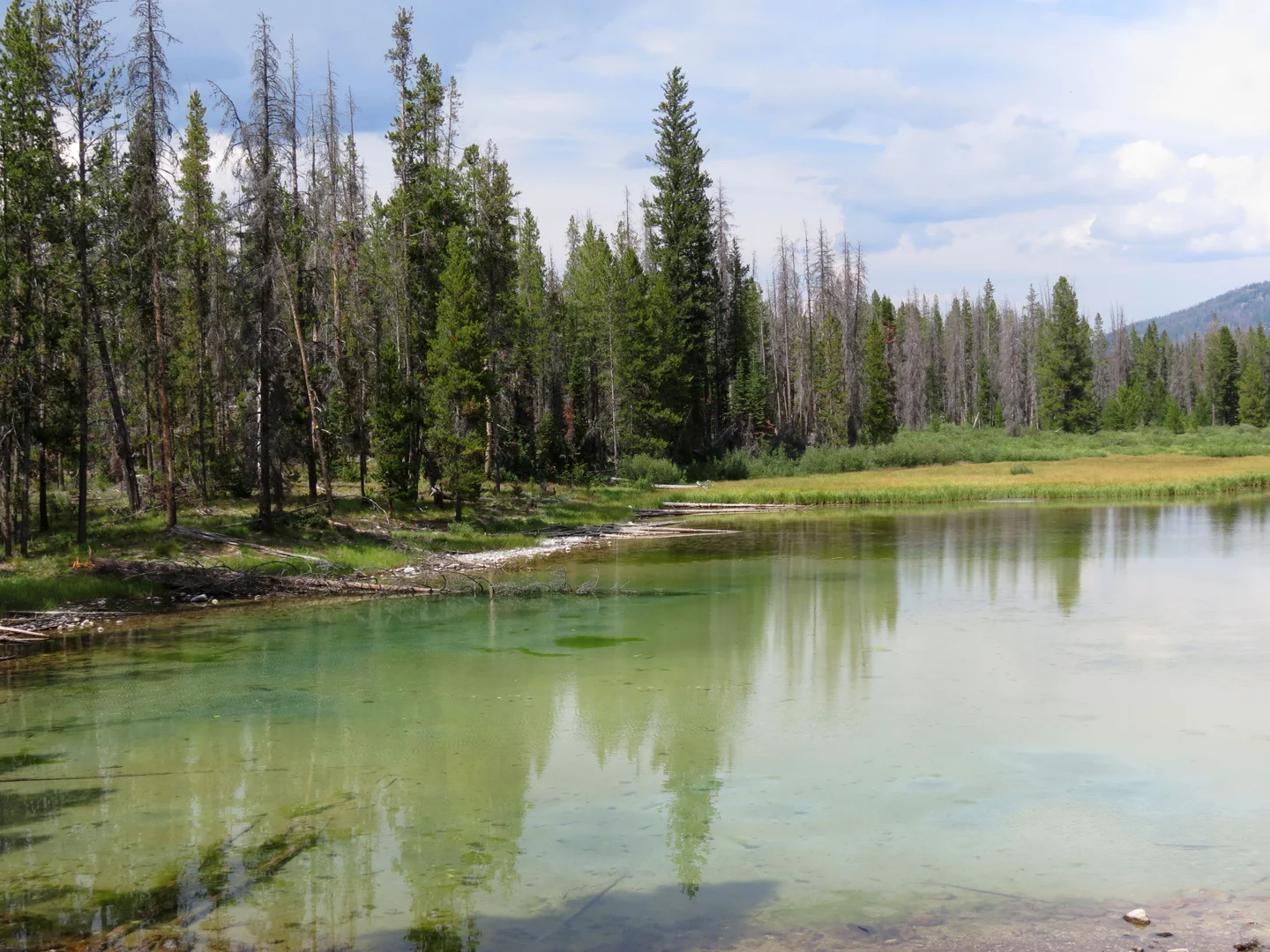 An image depicting the trail Elk Lake Trail and its surrounding area.