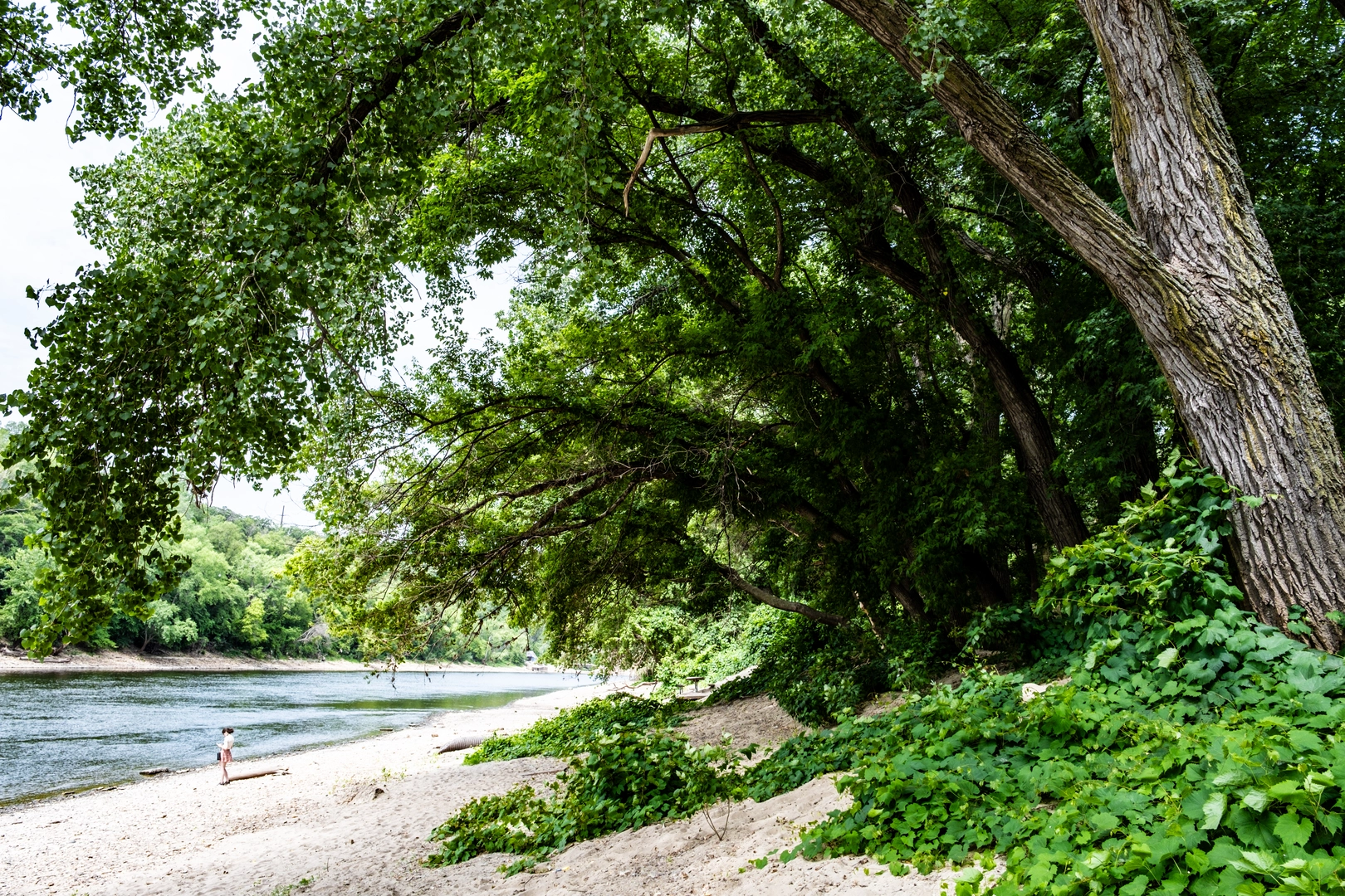 An image depicting the trail Poppy Trail, Seven Pools Loop and Hidden Falls Access Trail and its surrounding area.