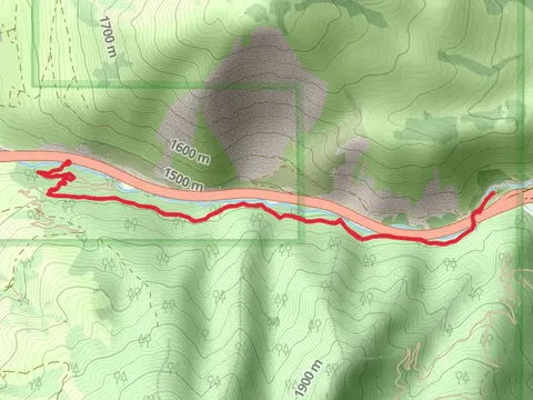 Box Elder Creek Walk