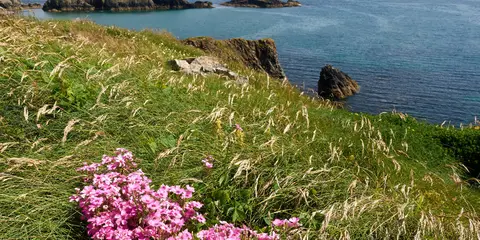 An image depicting the trail Annestown Heritage E-Trail from Battles to Tranquility and its surrounding area.