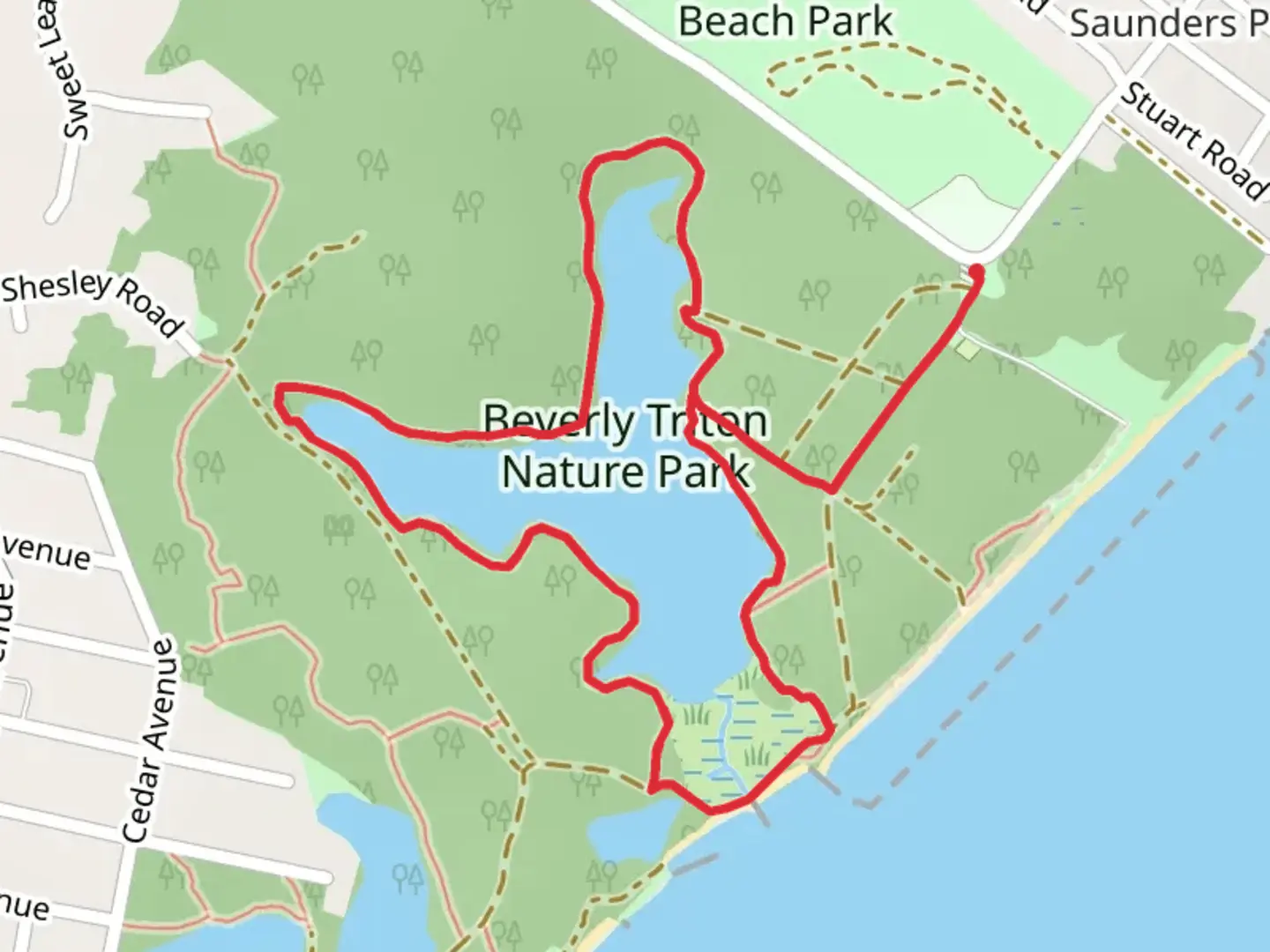 An image depicting the trail Pond Loop Trail - Beverly Triton Nature Park and its surrounding area.