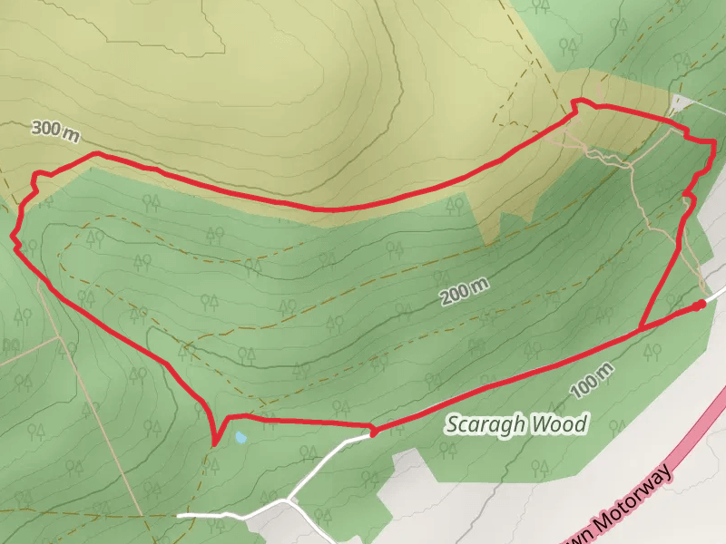 Scaragh Woods Red Trail