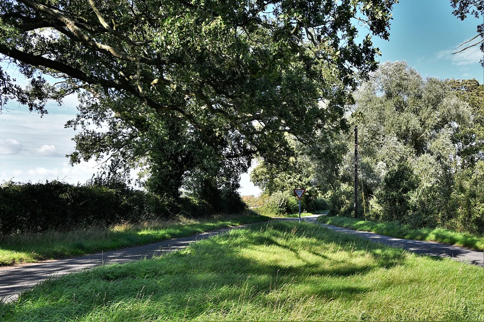 An image depicting the trail Knettishall Heath Country Park Short Loop and its surrounding area.