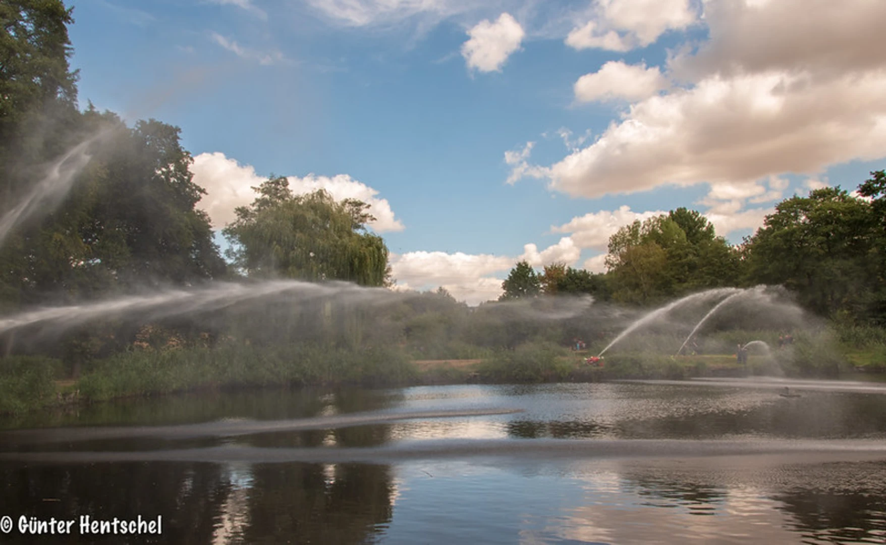 An image depicting the trail Richardshohe and River Mosel Loop from Angelweiher and its surrounding area.