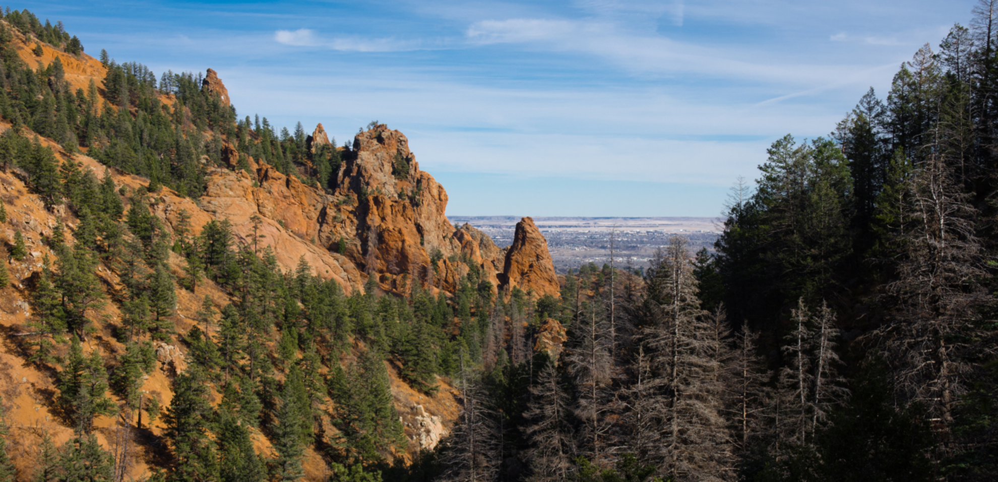An image depicting the trail Mount Cutler Trail and its surrounding area.