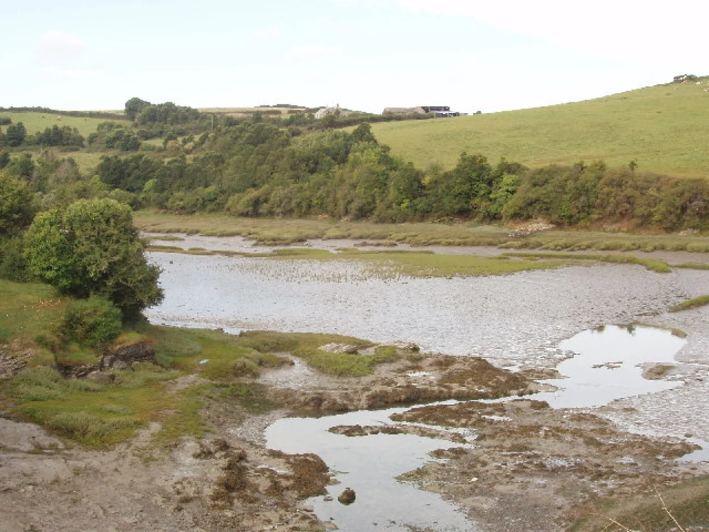 An image depicting the trail Camel Trail from Wadebridge to Padstow and its surrounding area.