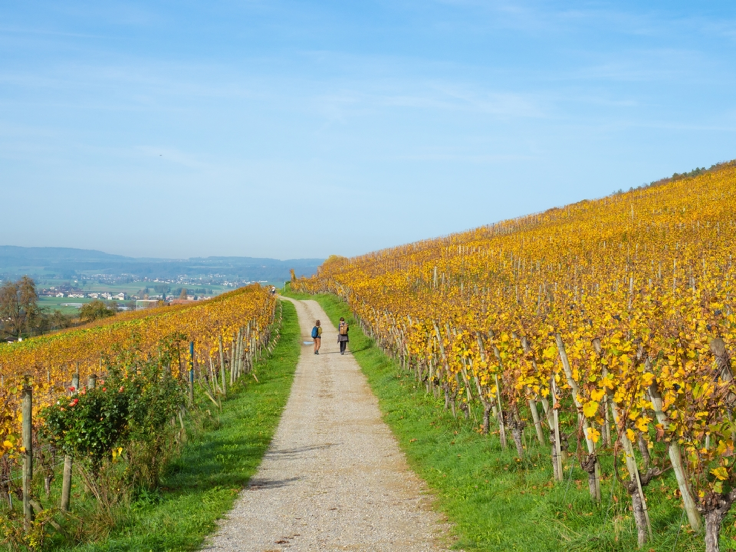 An image depicting the trail Thur-Uferweg and its surrounding area.