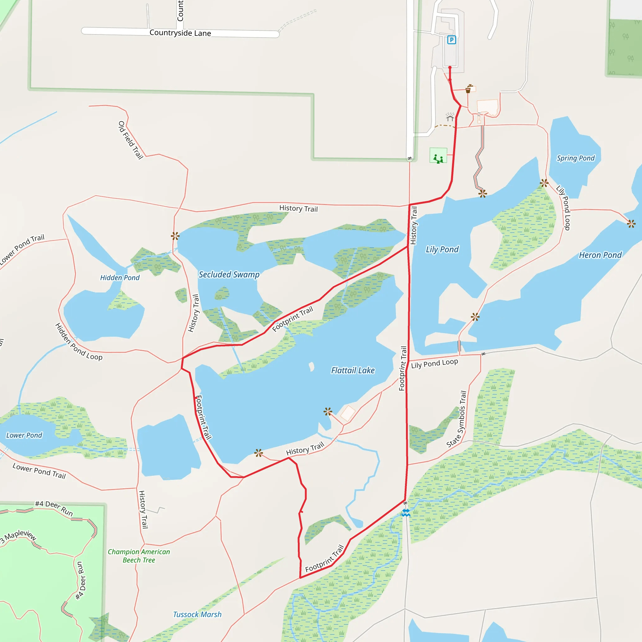 Flattail Lake Loop Trail via Lily Pond mobile static map