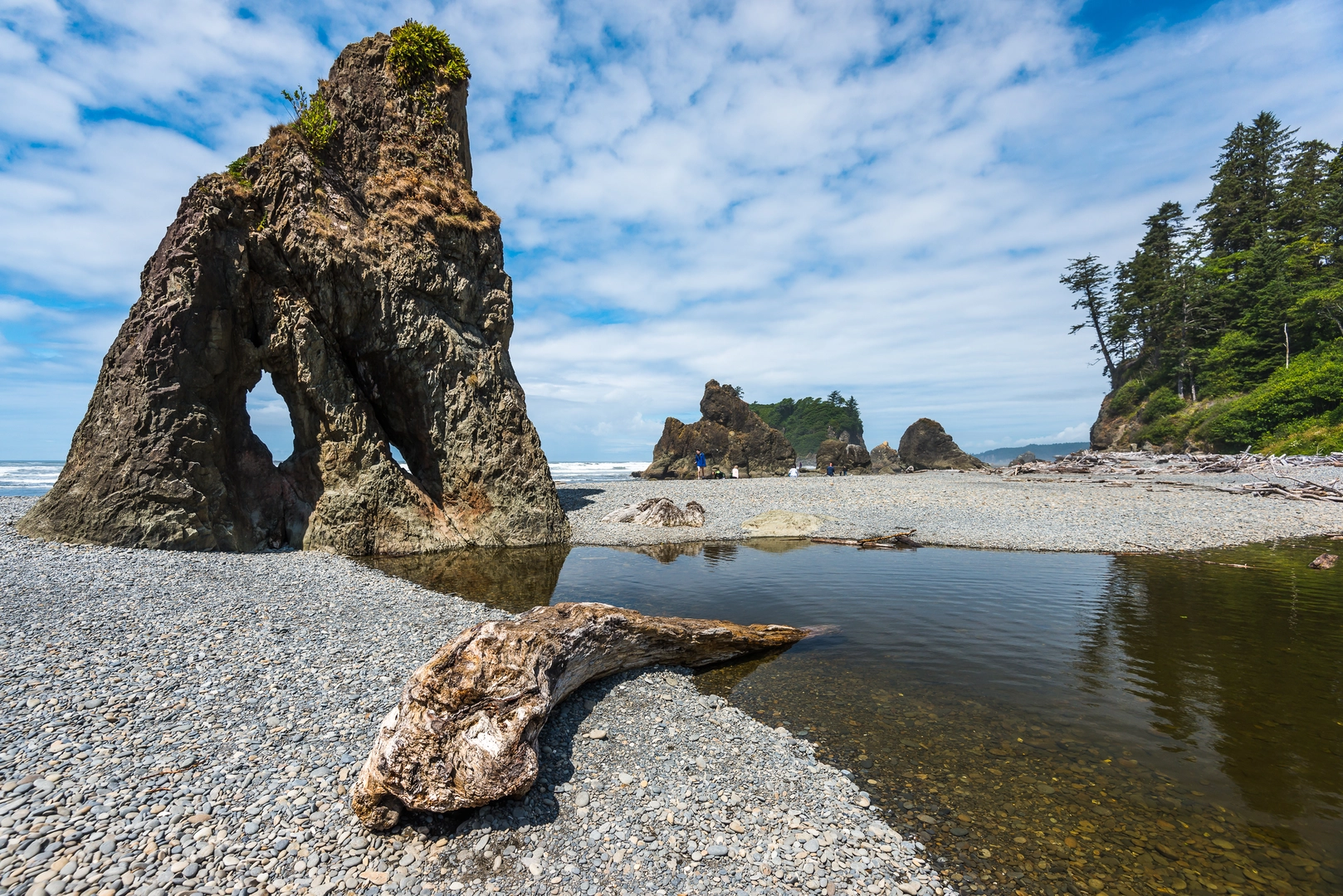 An image depicting the trail Olympic Coast Trail - South and its surrounding area.