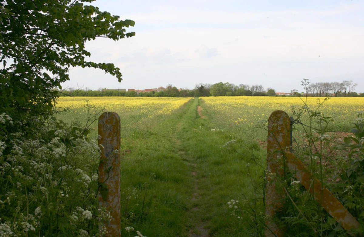 River Stour via Valley Walk