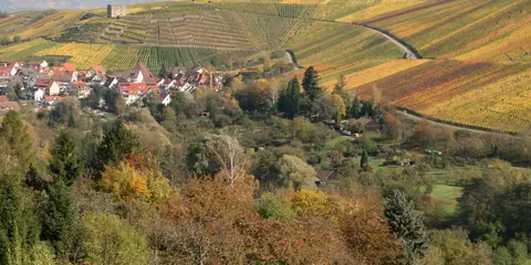 An image depicting the trail Crescentia - Pilgerweg and its surrounding area.
