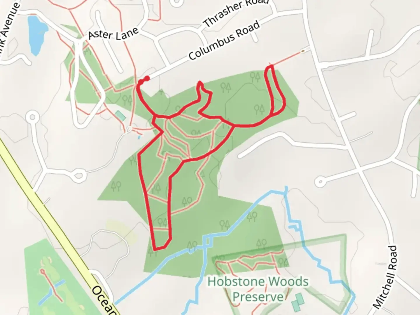 An image depicting the trail Canterbury Blue Loop and its surrounding area.