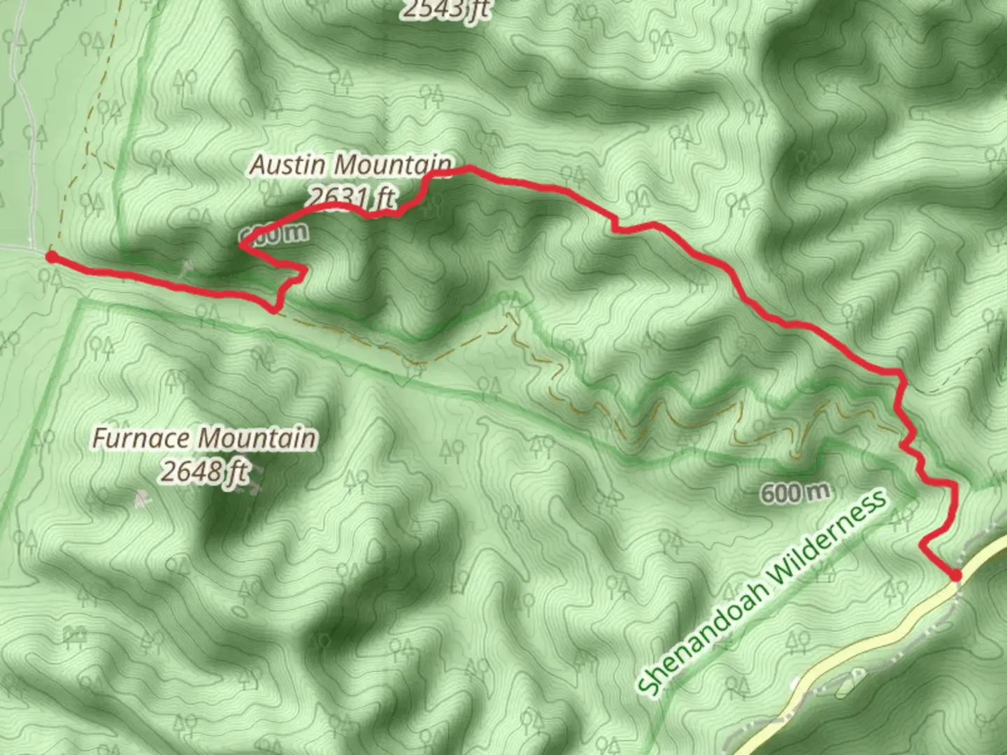 An image depicting the trail Austin Mountain and Rockytop Trail and its surrounding area.