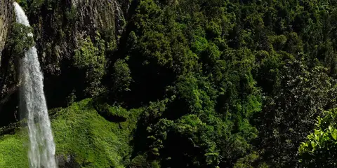 An image depicting the trail French Ridge Track and its surrounding area.
