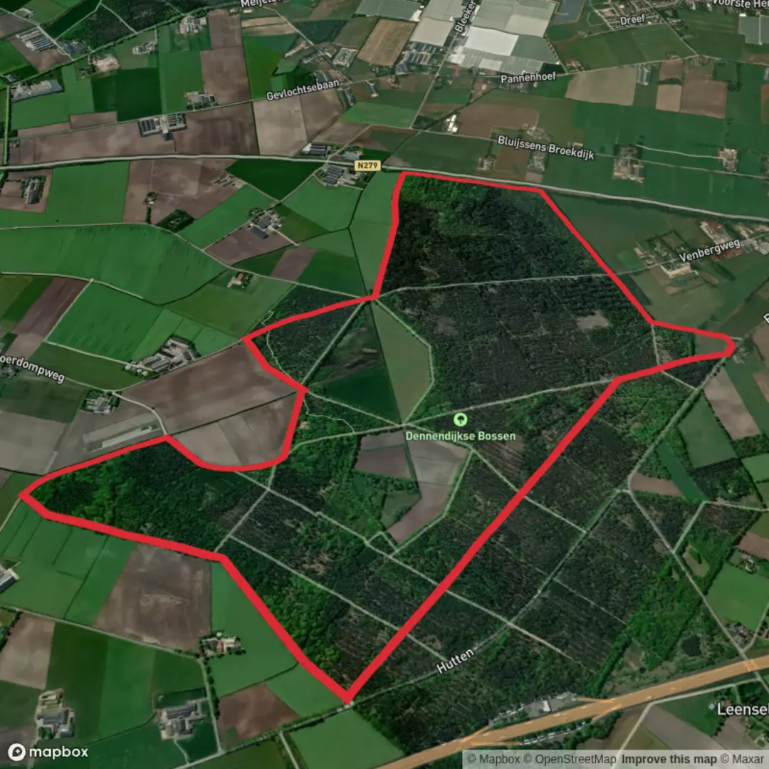 An image depicting the trail Dennendijkse Bossen Loop and its surrounding area.