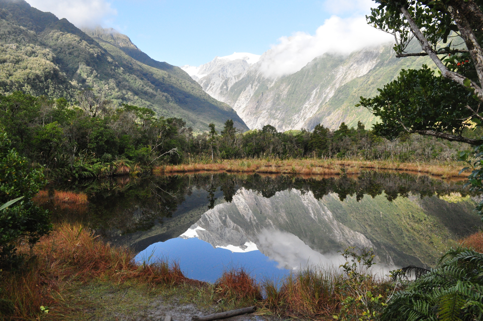 An image depicting the trail Peters Pool Walk and its surrounding area.