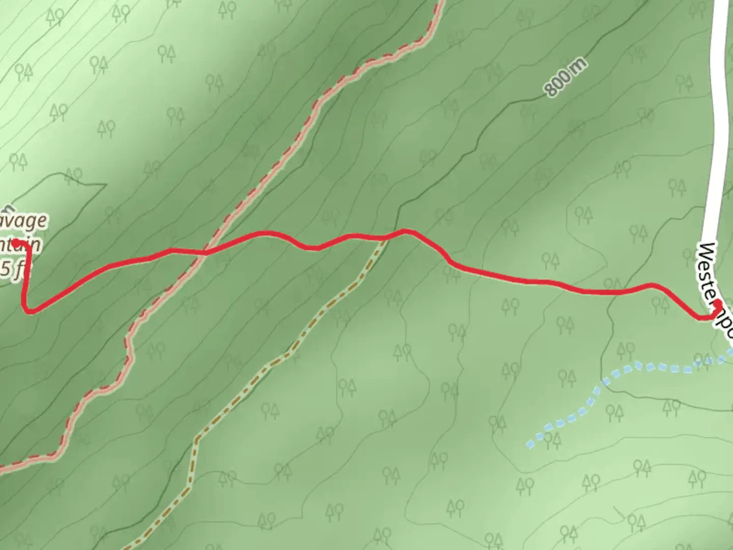 An image depicting the trail Big Savage Mountain and its surrounding area.