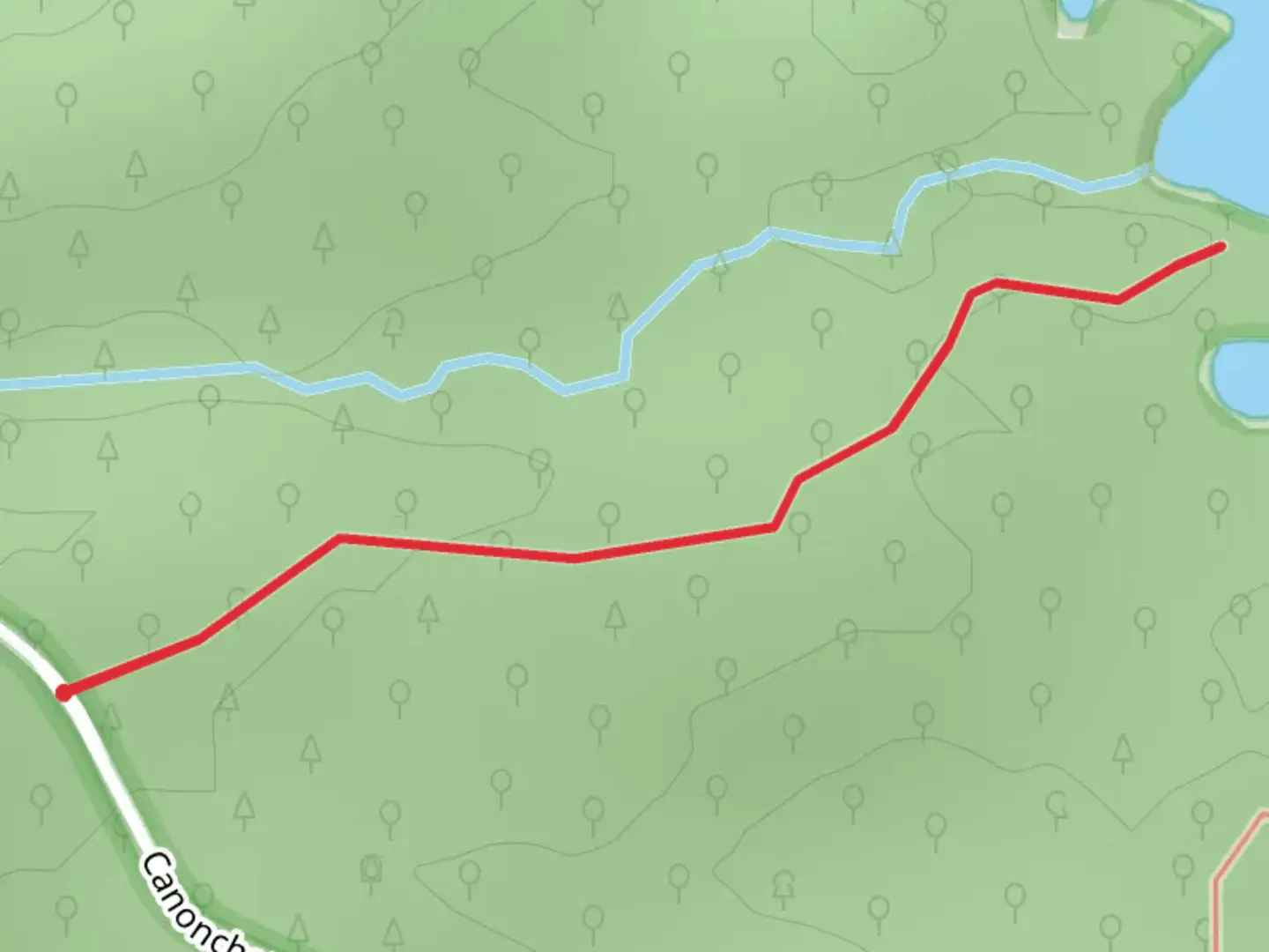 An image depicting the trail Blue Pond and its surrounding area.