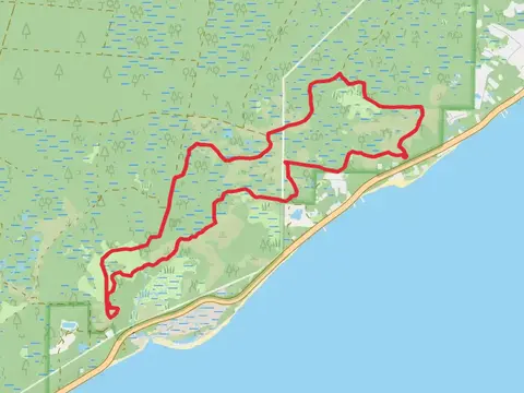 Tate's Hell State Forest Loop