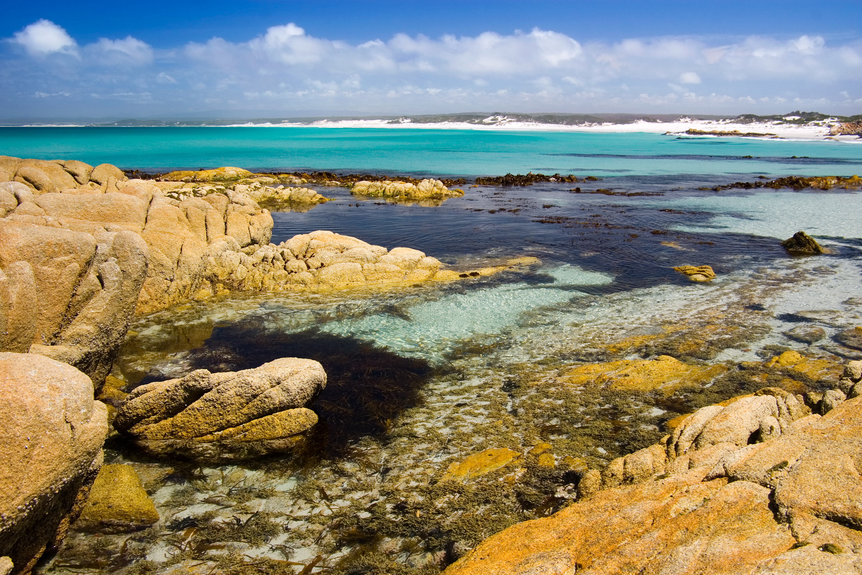 An image depicting the trail Mount William National Park and its surrounding area.