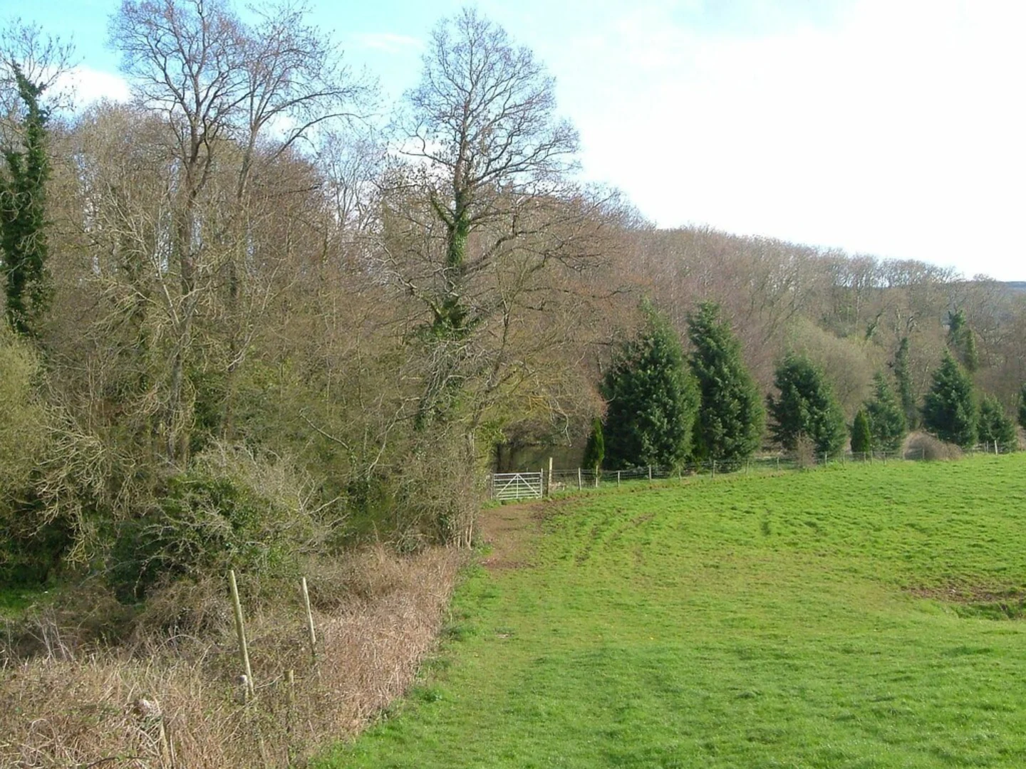 An image depicting the trail Haldon Quarry Loop and its surrounding area.