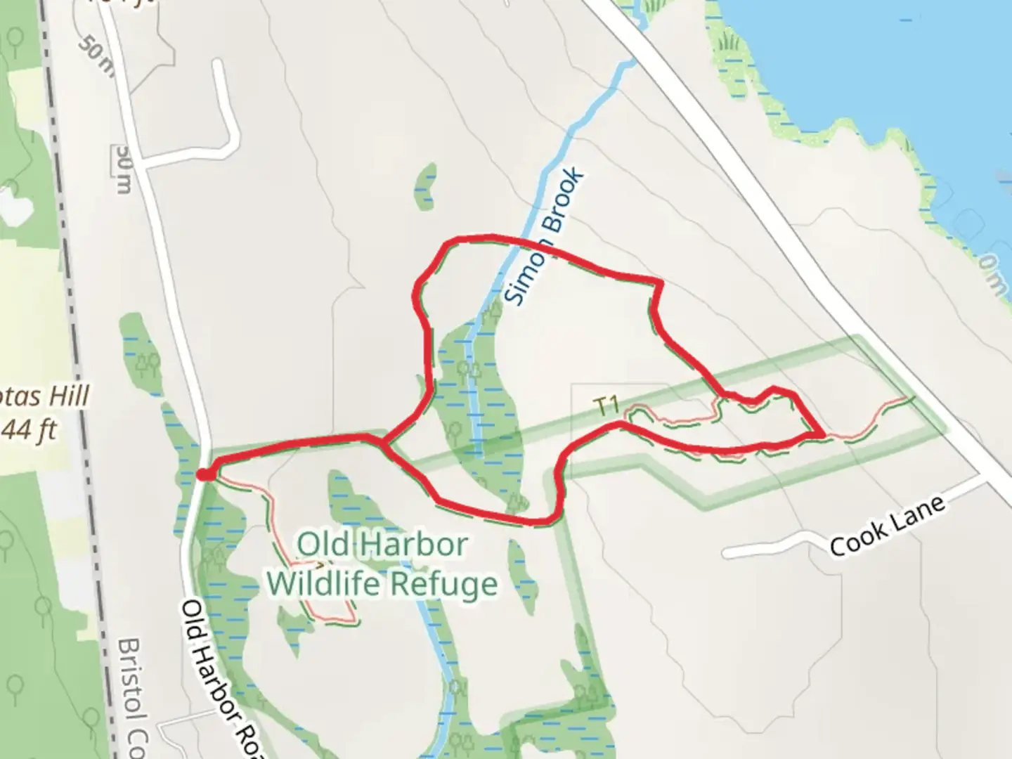 An image depicting the trail Simon Brook Loop Trail and its surrounding area.
