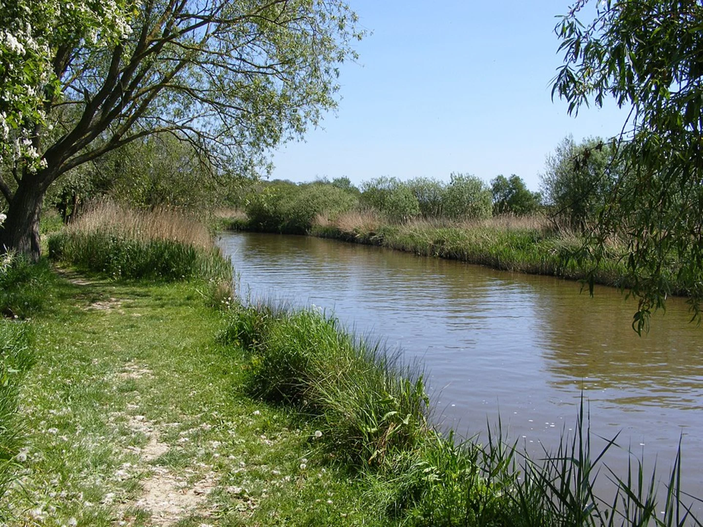 An image depicting the trail River Yate and Chet Loop - Hardley and its surrounding area.